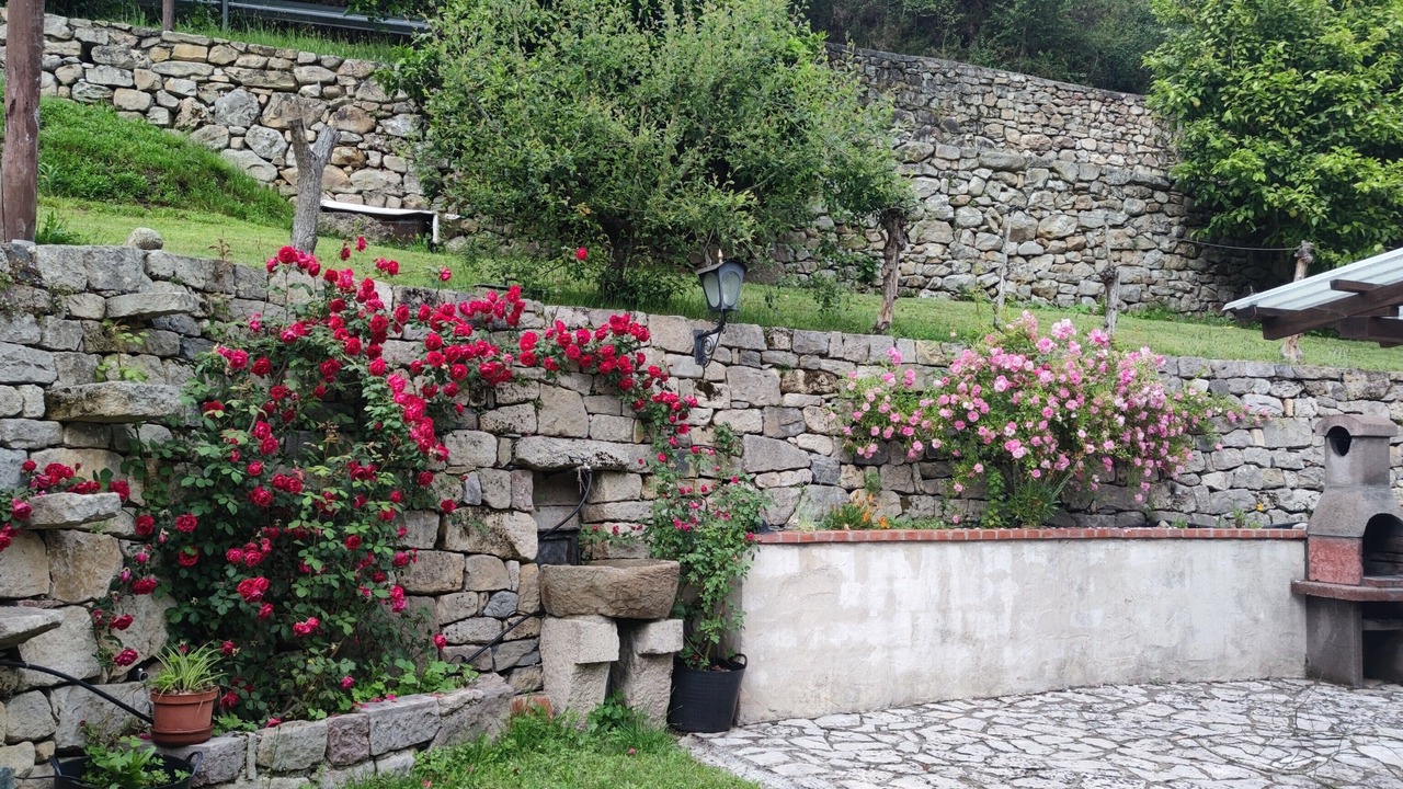 Photo of Outdoor in Alles
