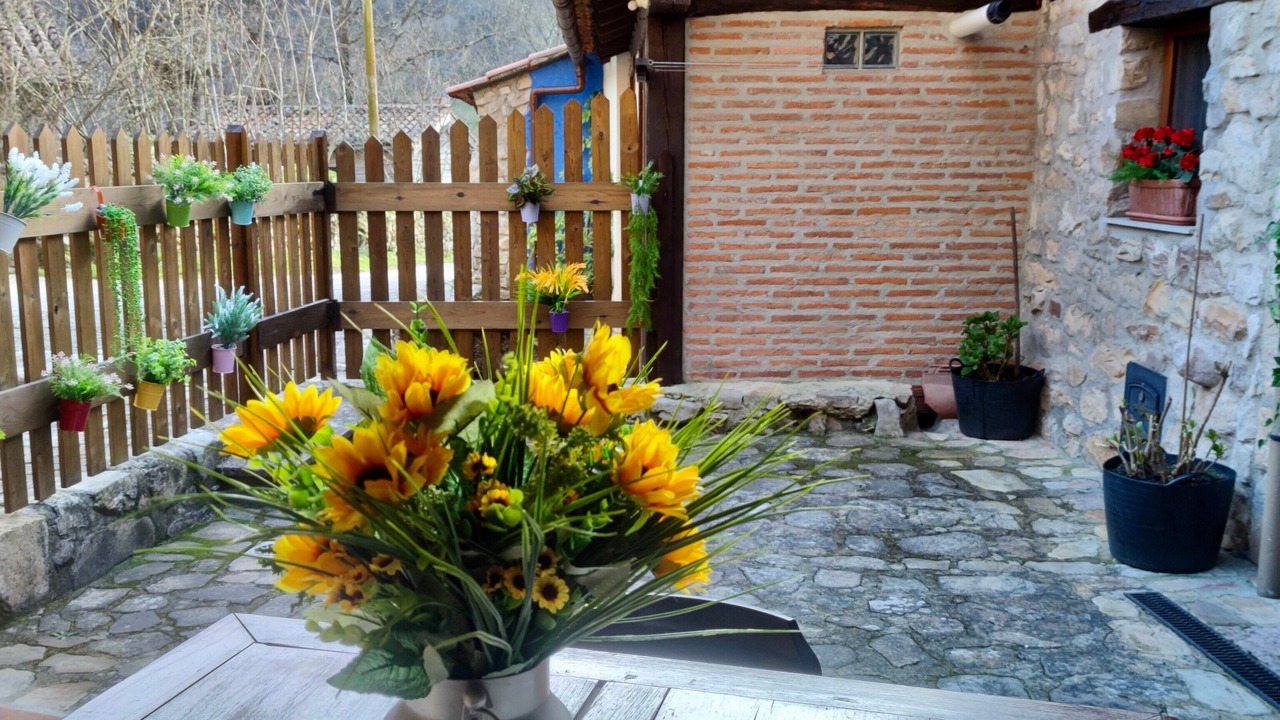 Photo of Outdoor in Penamellera Alta