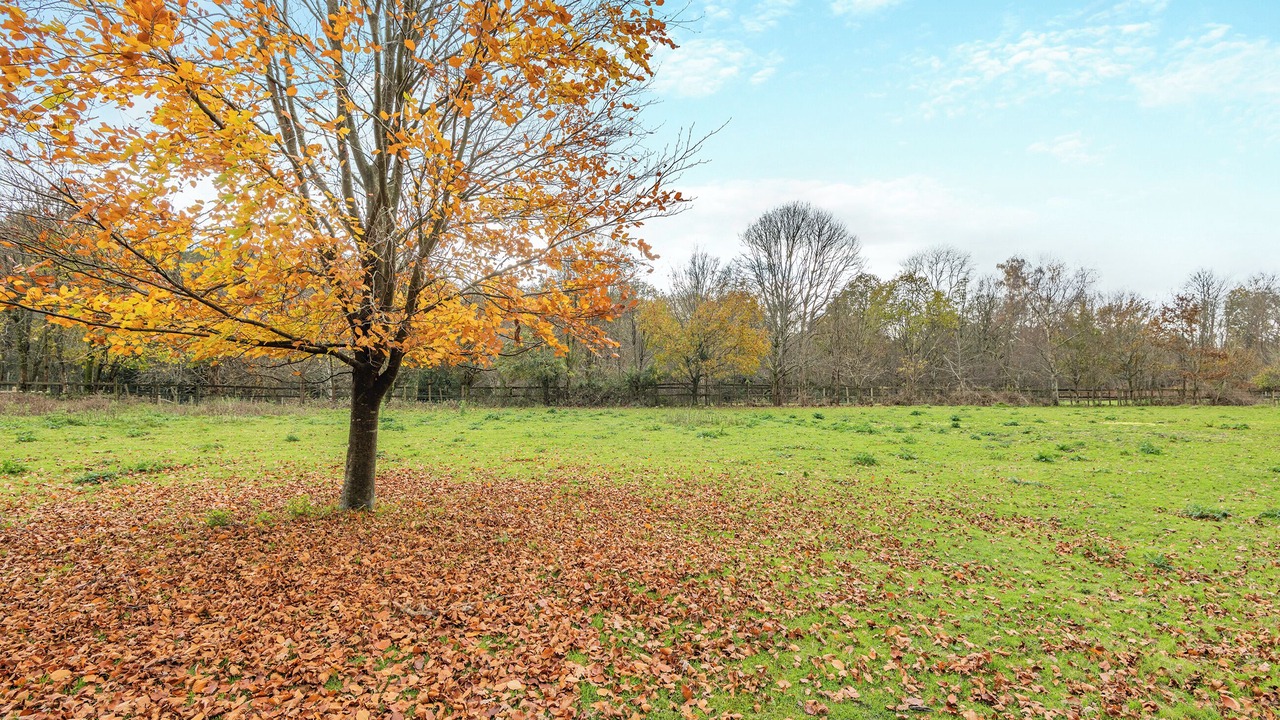 Photo of Others in Frant