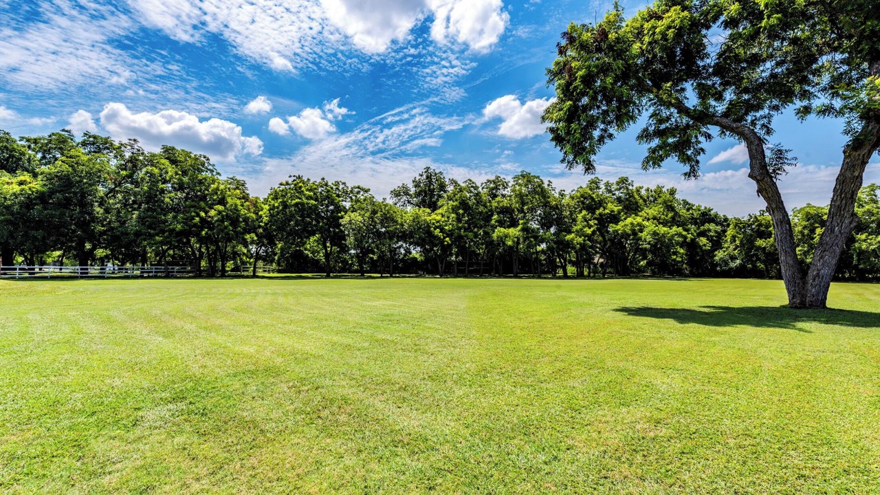 Photo of Outdoor in Austin