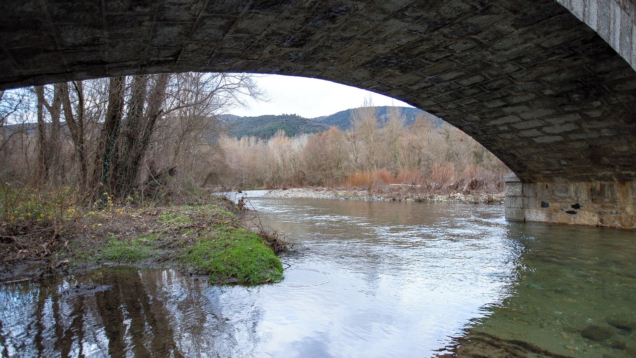 Photo of Others in Flaviac