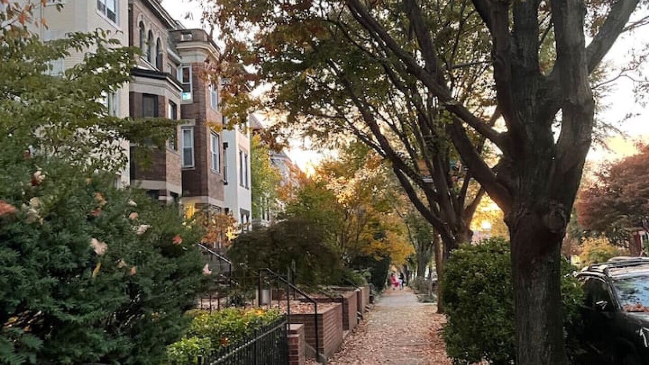 Photo of Outdoor in Adams Morgan