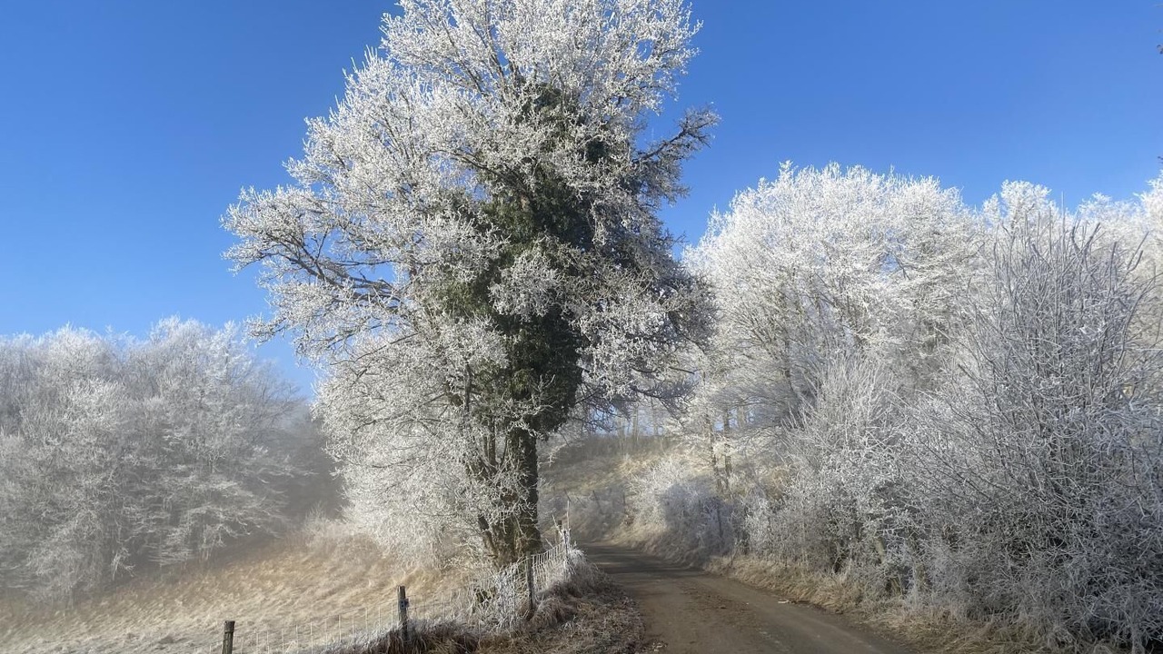 Photo of Others in Saint-Rambert-en-Bugey