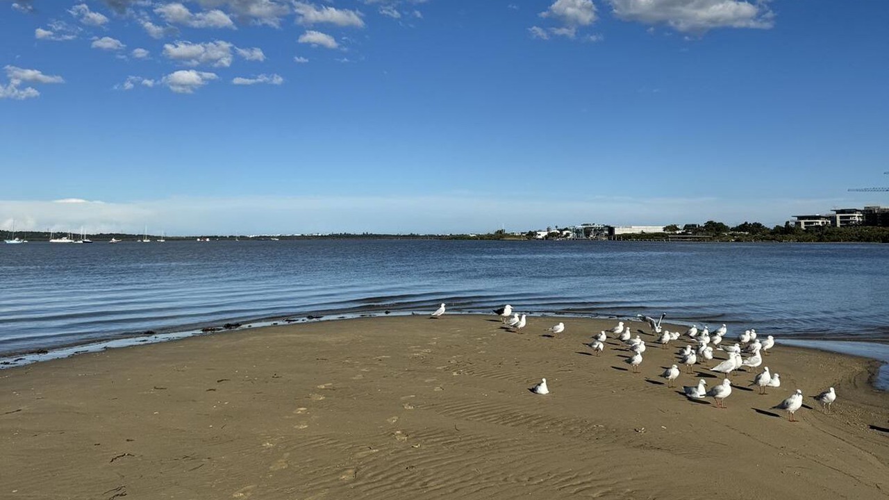 Photo of Others in Taren Point