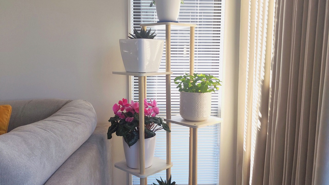 Photo of Others in Waikato