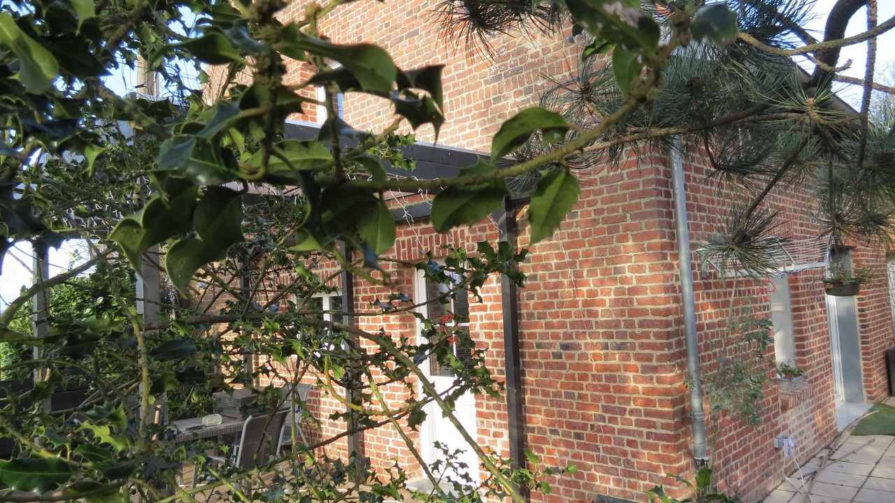 Photo of Outdoor in Nieppe