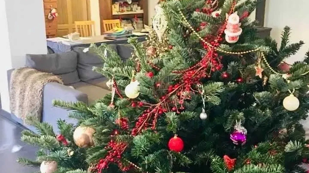 Photo of Others in Plan-d'Aups-Sainte-Baume