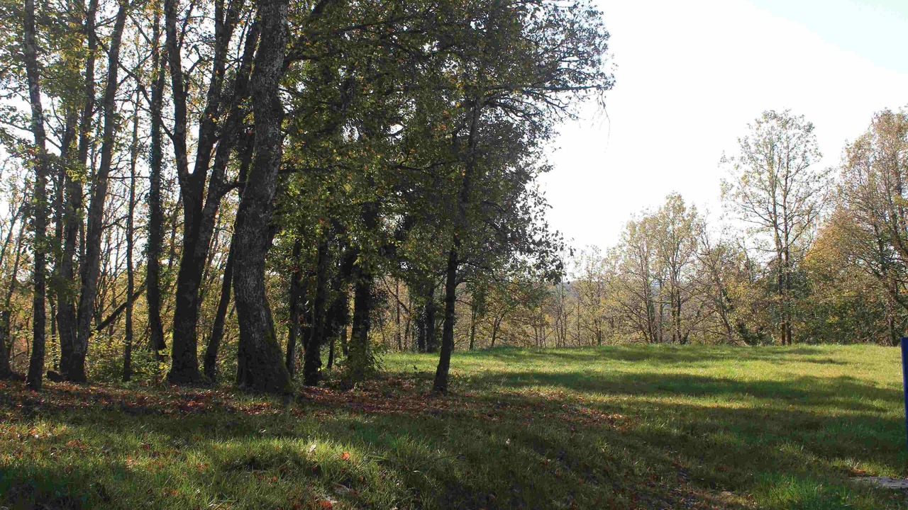 Photo of Others in Saint-Vincent-sur-l'Isle