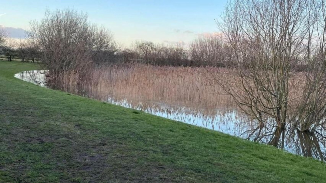 Photo of Others in Cambridge