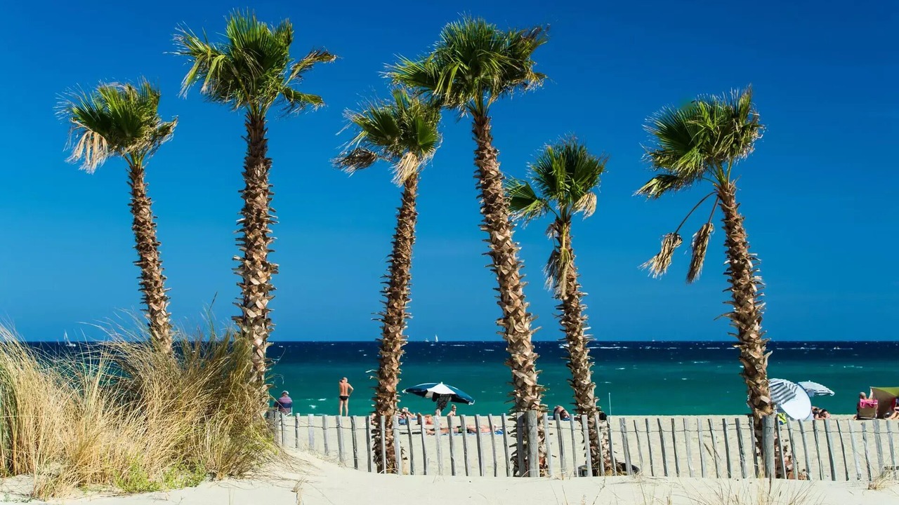Photo of Others in Saint-Cyprien Plage