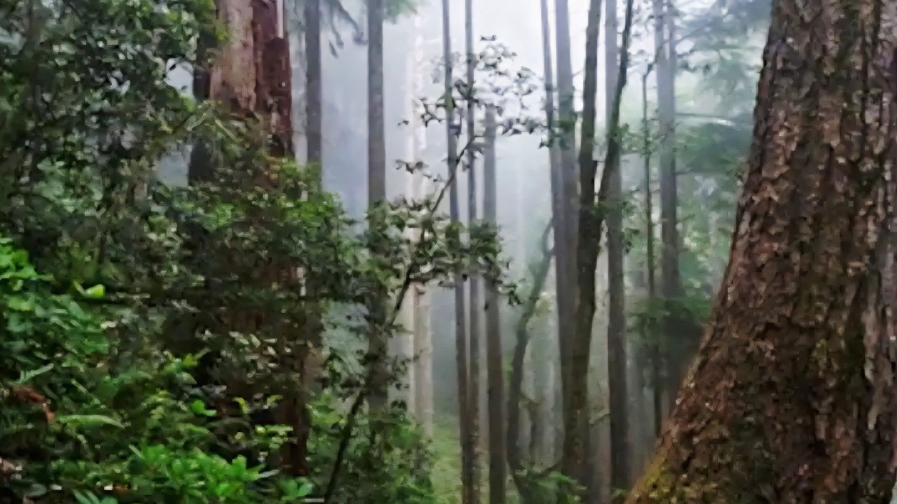 Photo of Others in Port Orford