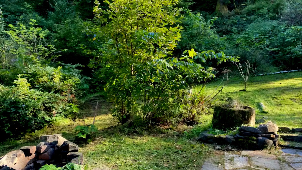 Photo of Outdoor in Port Orford