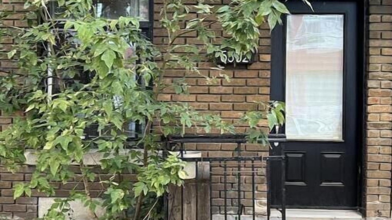 Photo of Outdoor in Mile End