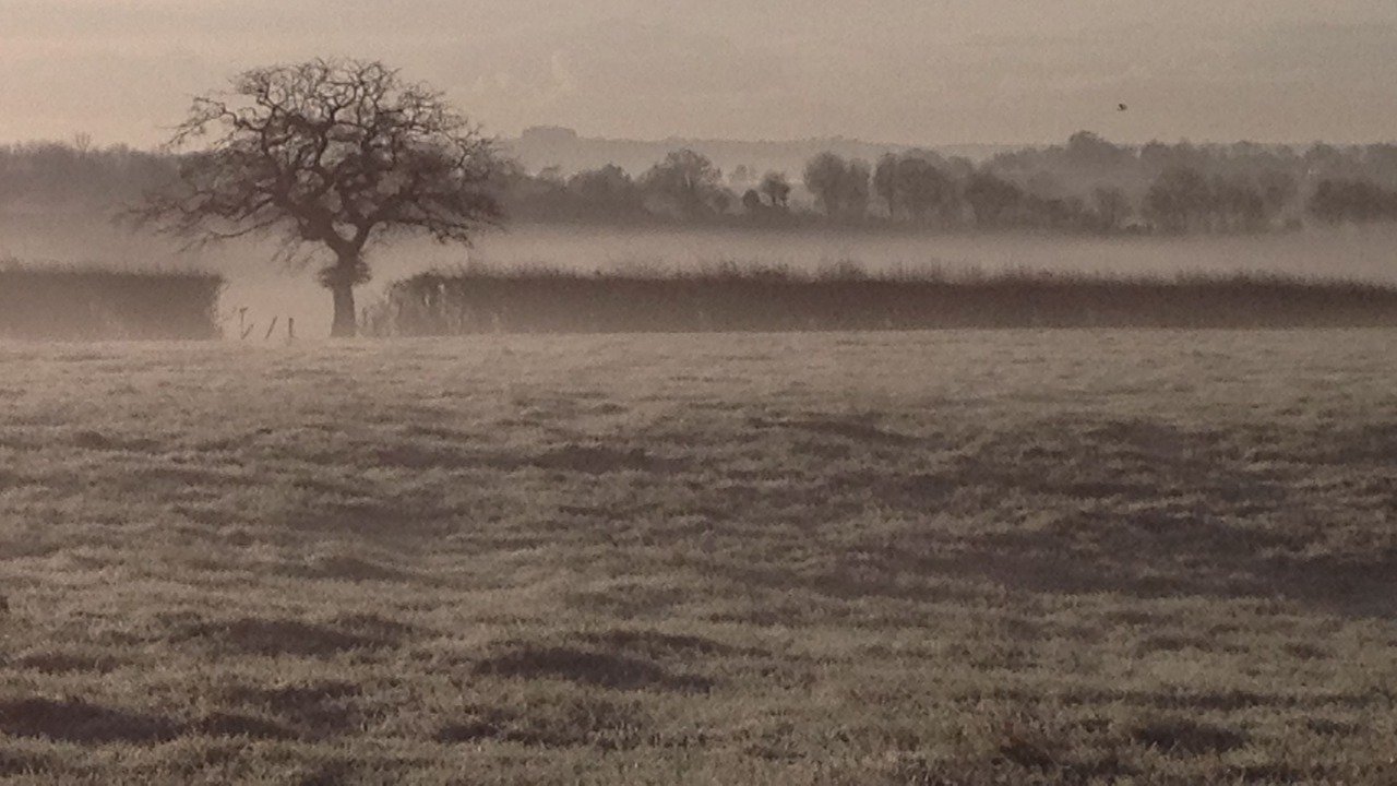 Photo of Others in Winchester