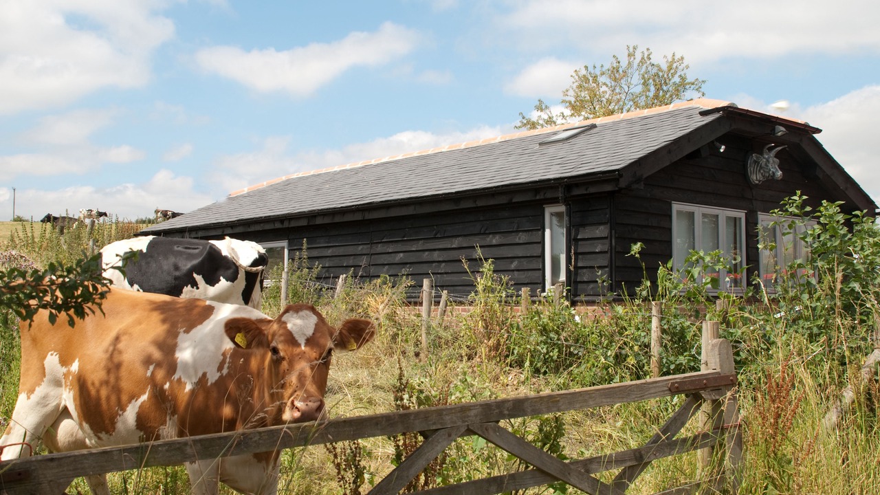 Photo of Outdoor in Winchester