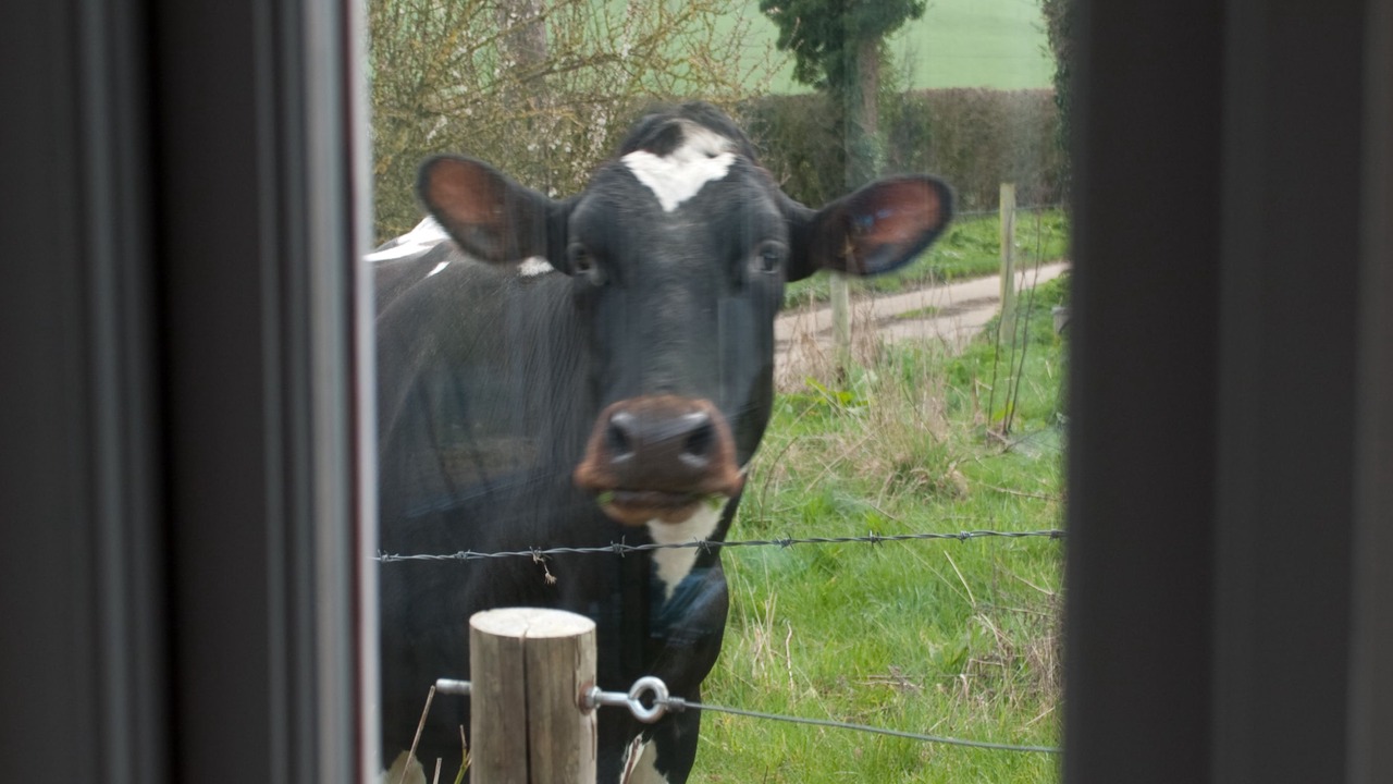 Photo of Others in Winchester