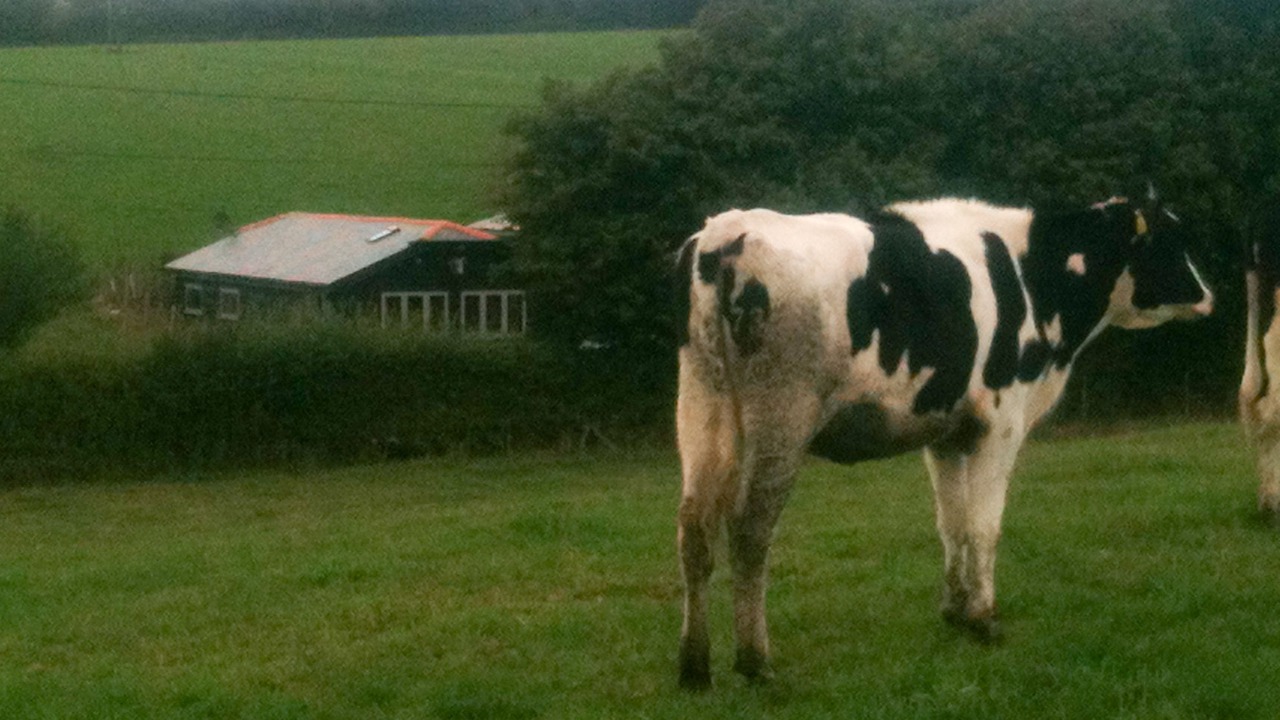 Photo of Outdoor in Winchester