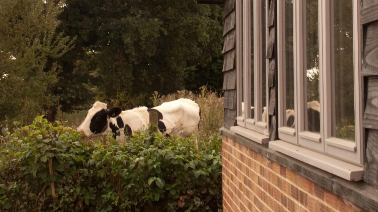 Photo of Outdoor in Winchester