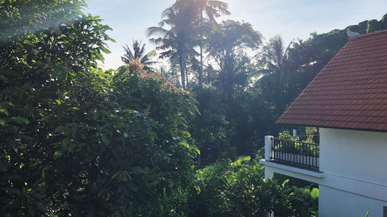 Photo of Patio Balcony in Ubud City-Centre