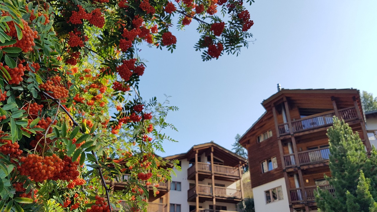Photo of Outdoor in Zermatt