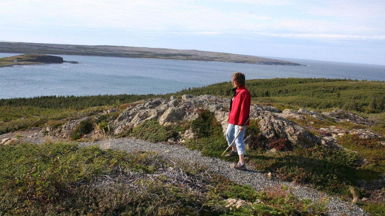 Photo of Outdoor in Raleigh