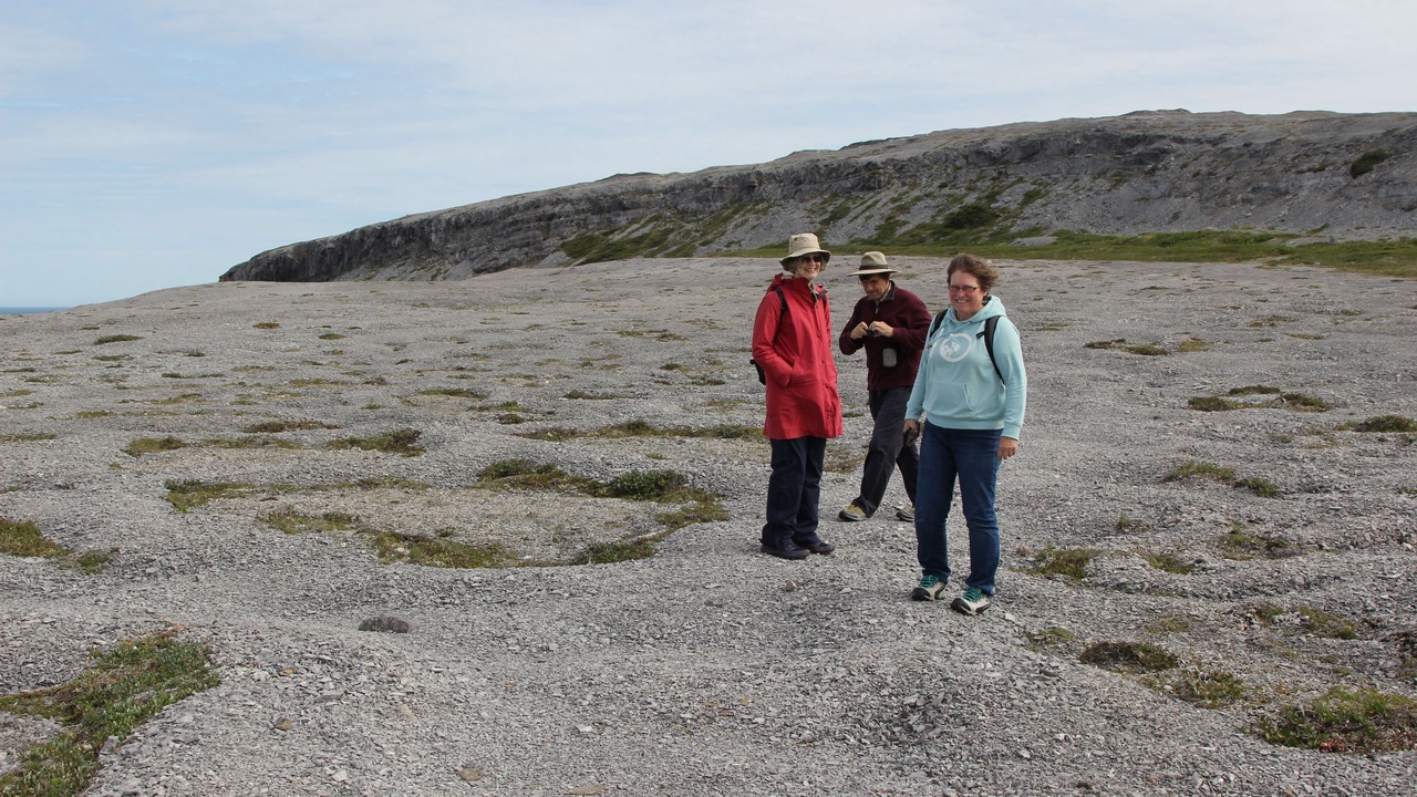 Photo of Others in Raleigh