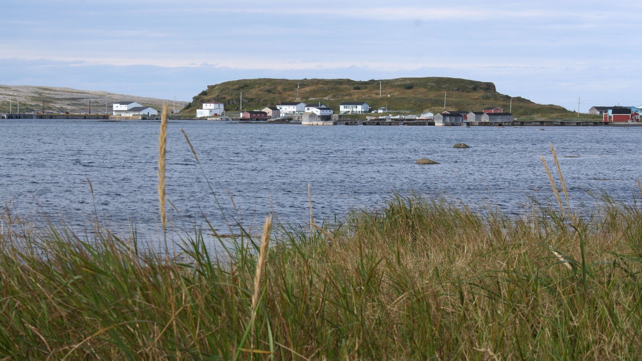 Photo of Others in Raleigh