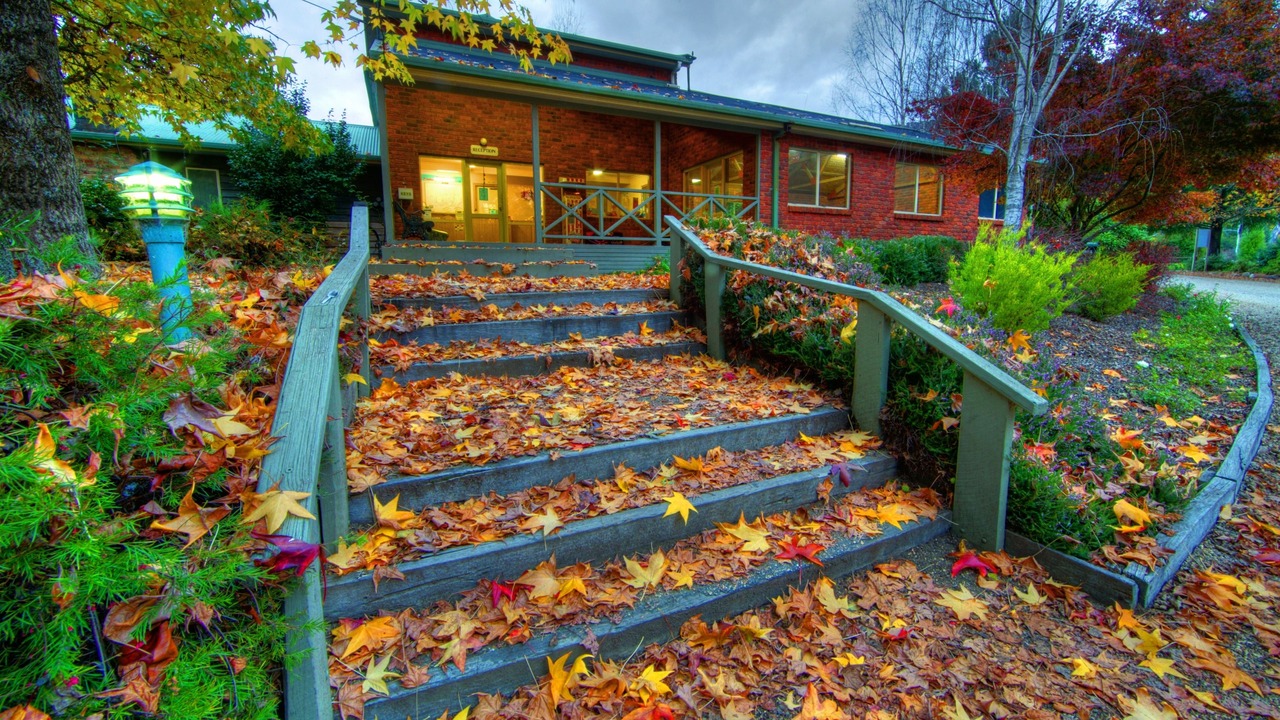 Photo of Outdoor in Freeburgh