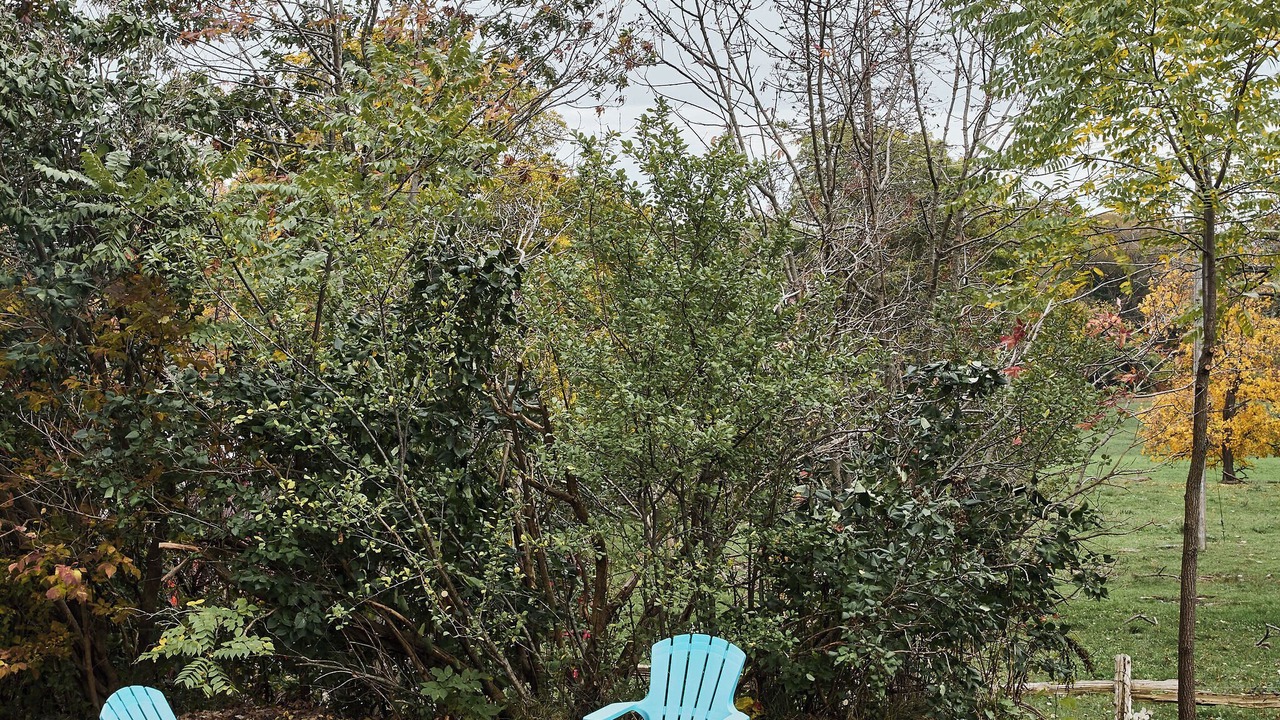 Photo of Outdoor in Waupoos