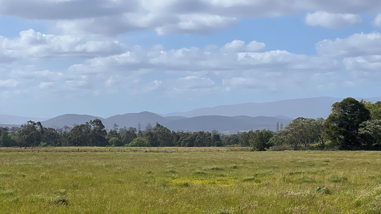 Photo of Others in Moe