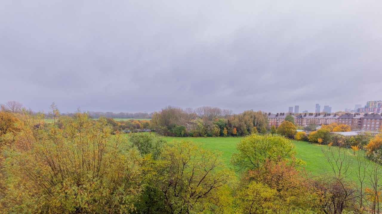 Photo of Others in King's Park