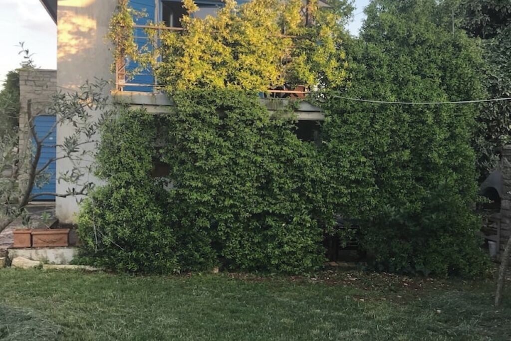Photo of Outdoor in Zambratija
