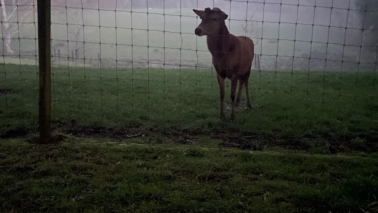 Photo of Others in Wainui