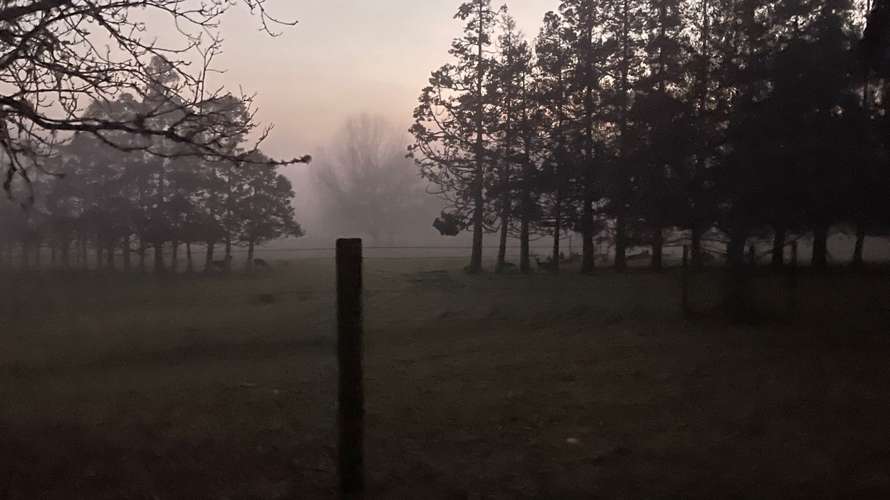 Photo of Others in Wainui