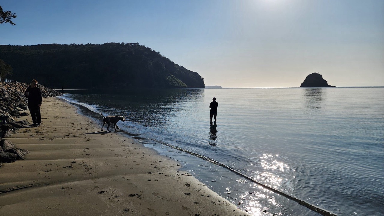 Photo of Others in Wainui