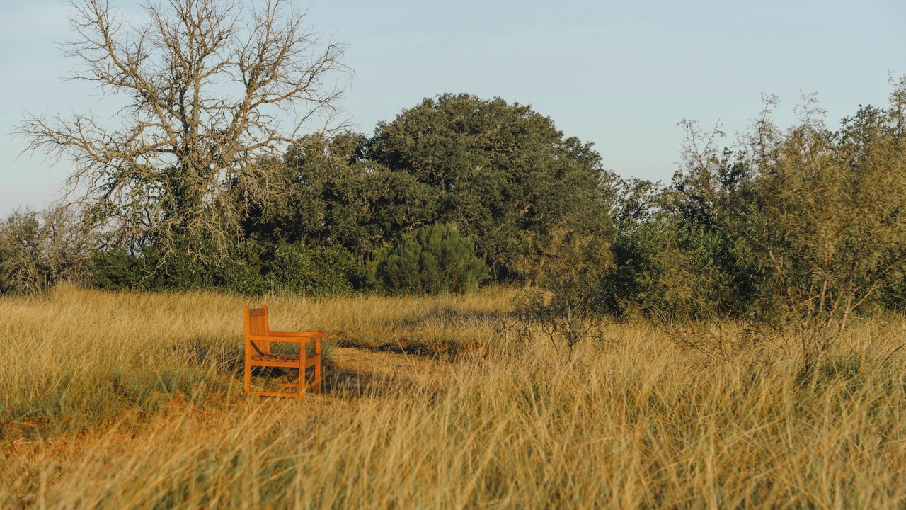Photo of Outdoor in Stonewall