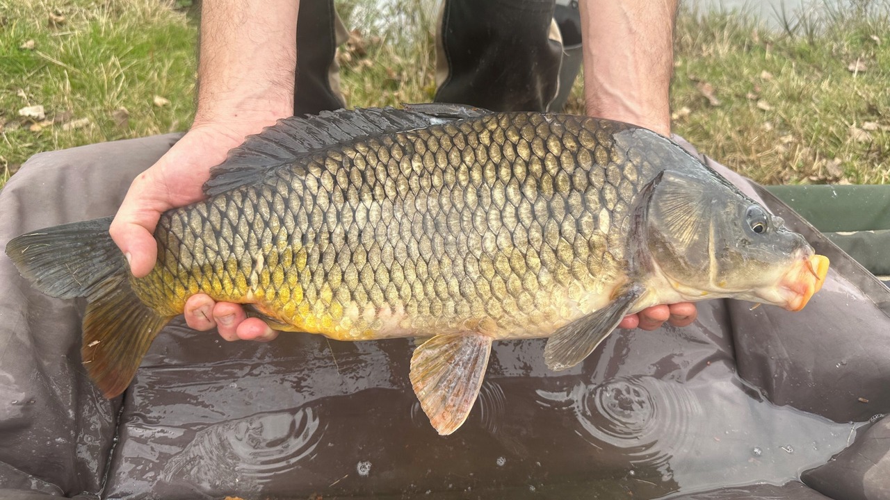 Photo of Others in Beaupouyet