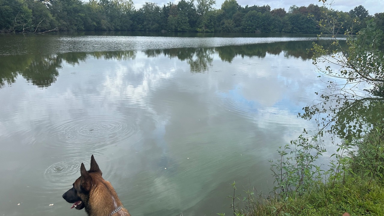 Photo of Others in Beaupouyet