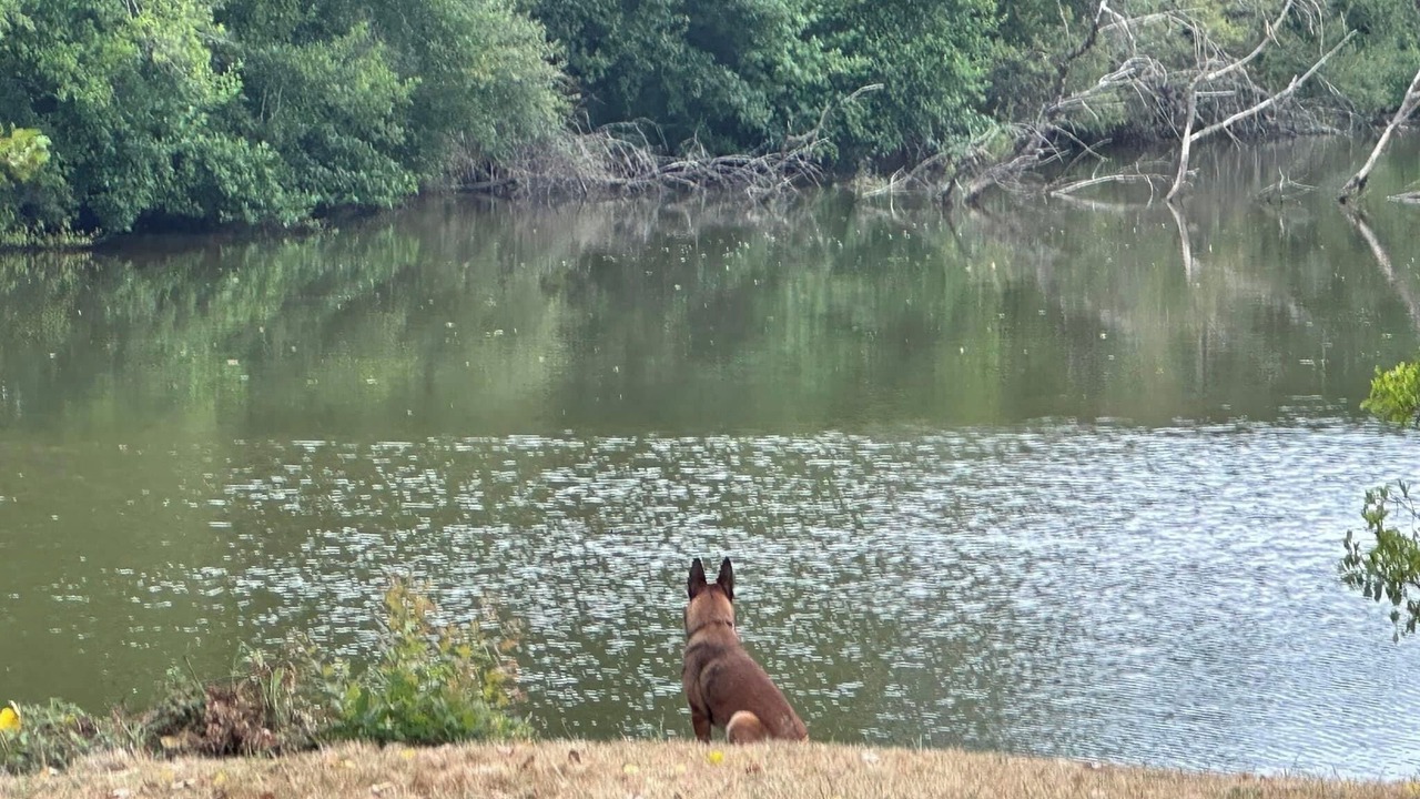 Photo of Others in Beaupouyet