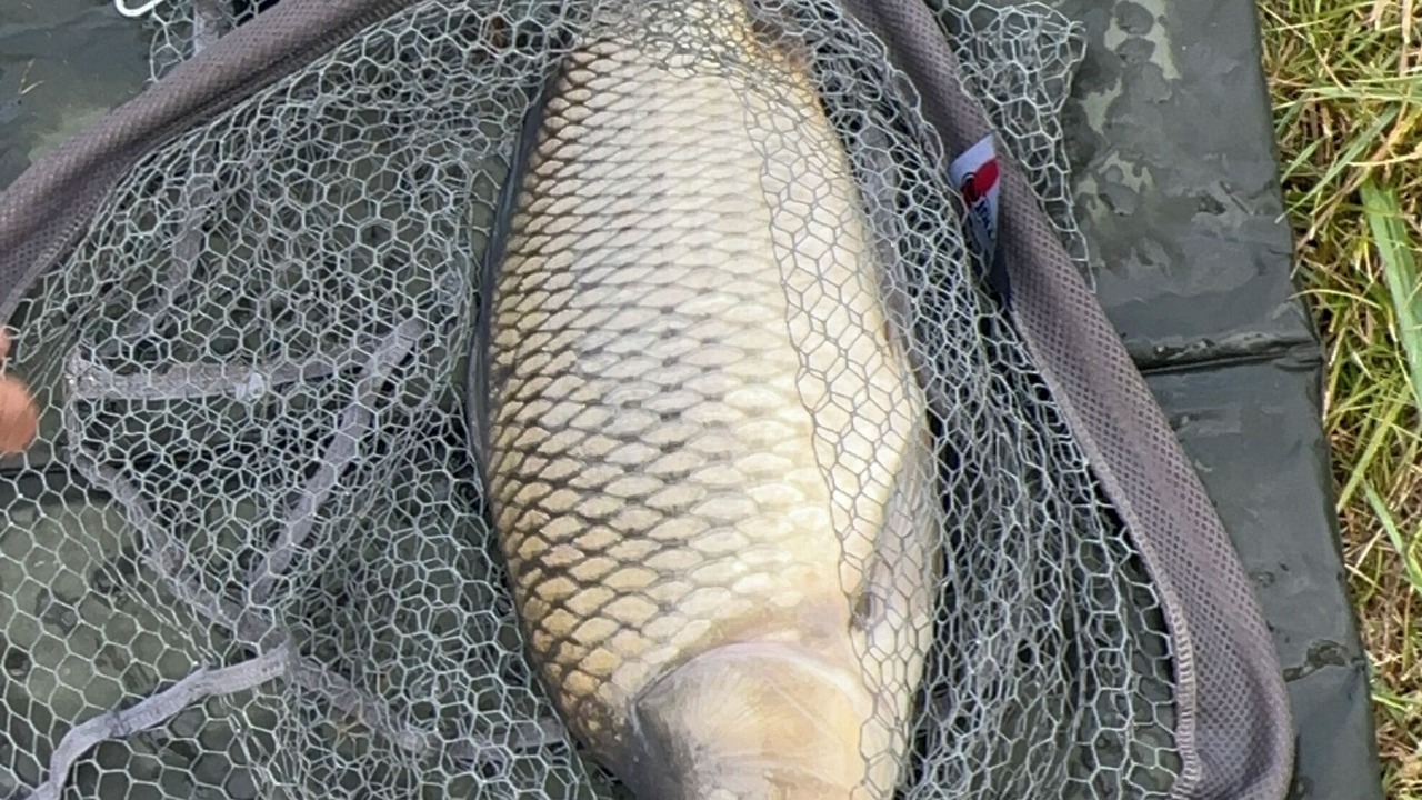 Photo of Others in Beaupouyet