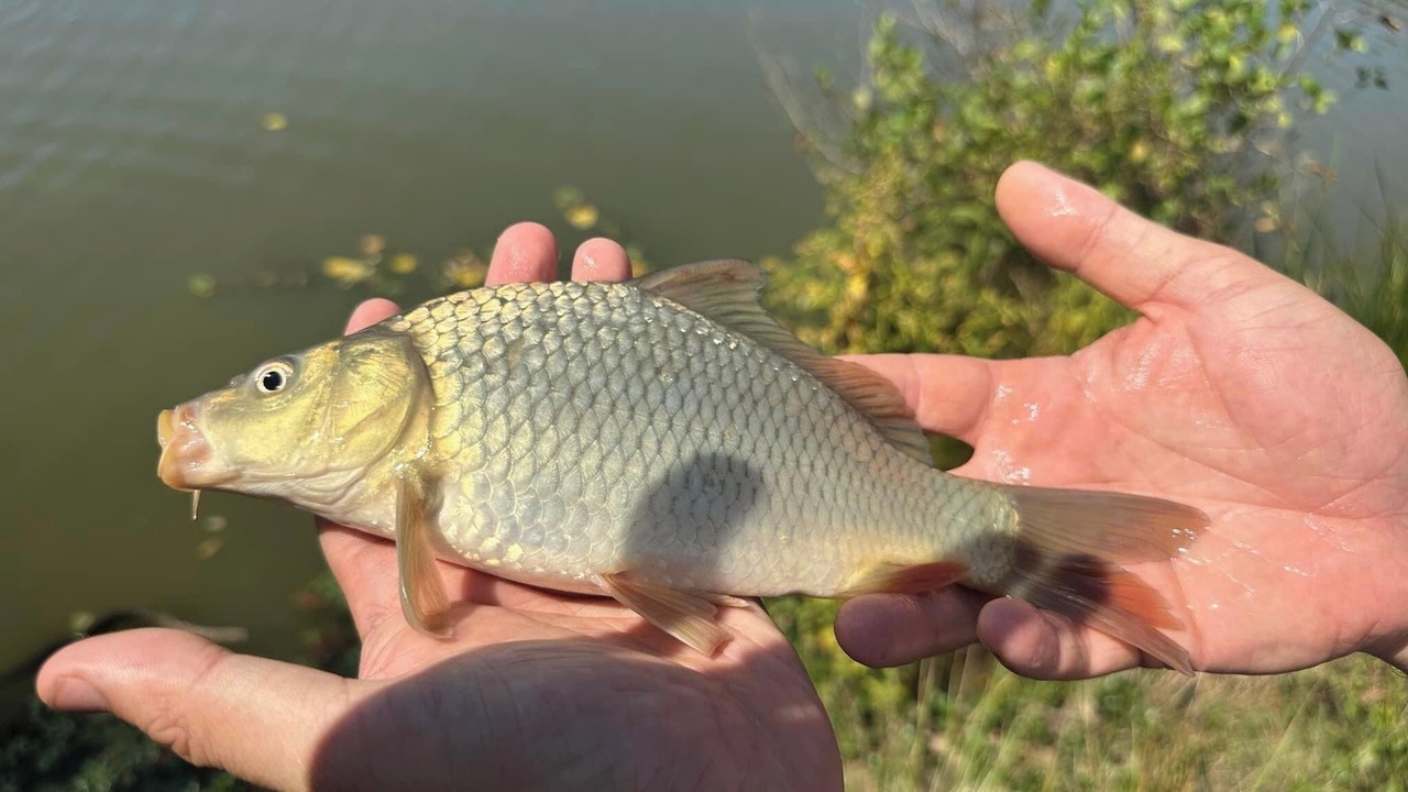 Photo of Others in Beaupouyet