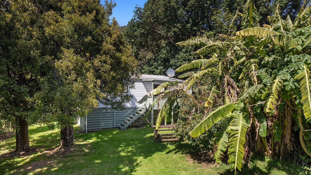 Photo of Outdoor in Waihau Bay