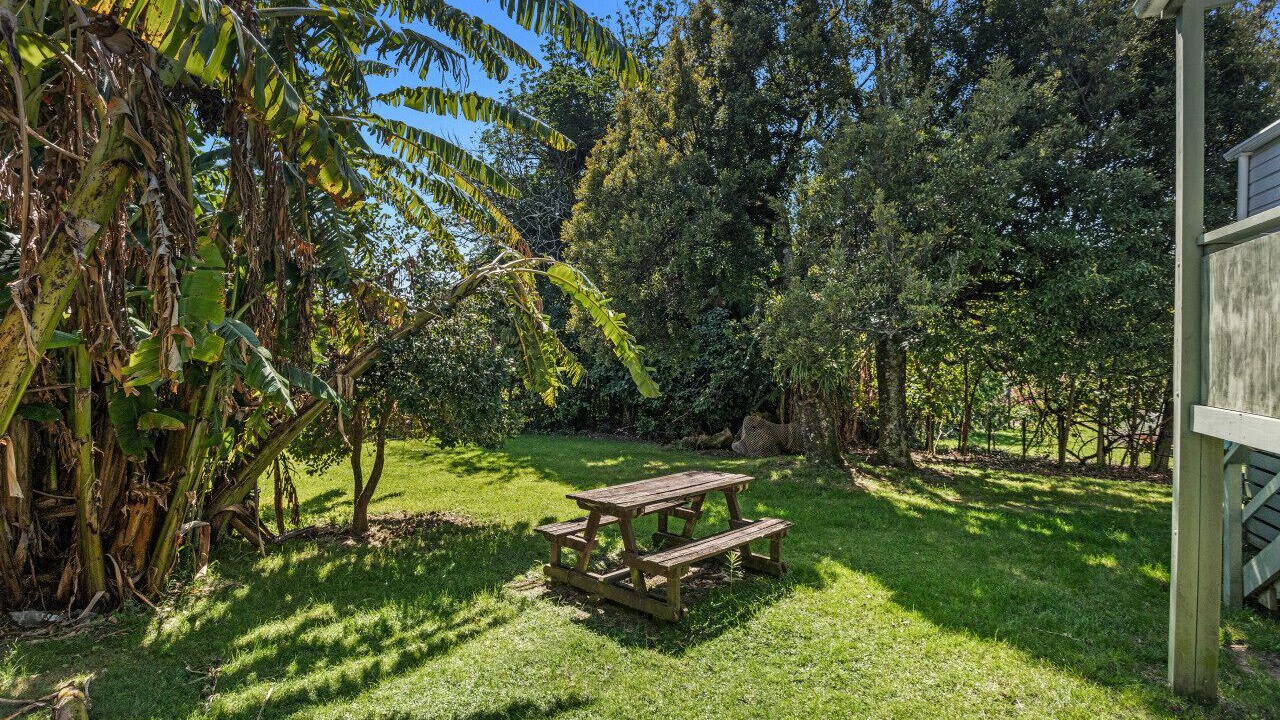 Photo of Outdoor in Waihau Bay