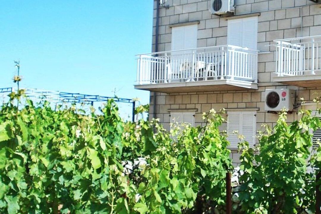 Photo of Outdoor in Vela Glavica