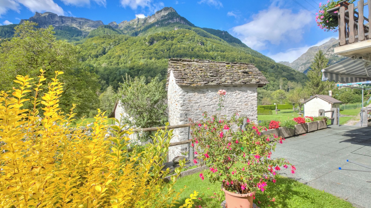 Photo of Outdoor in Frasco