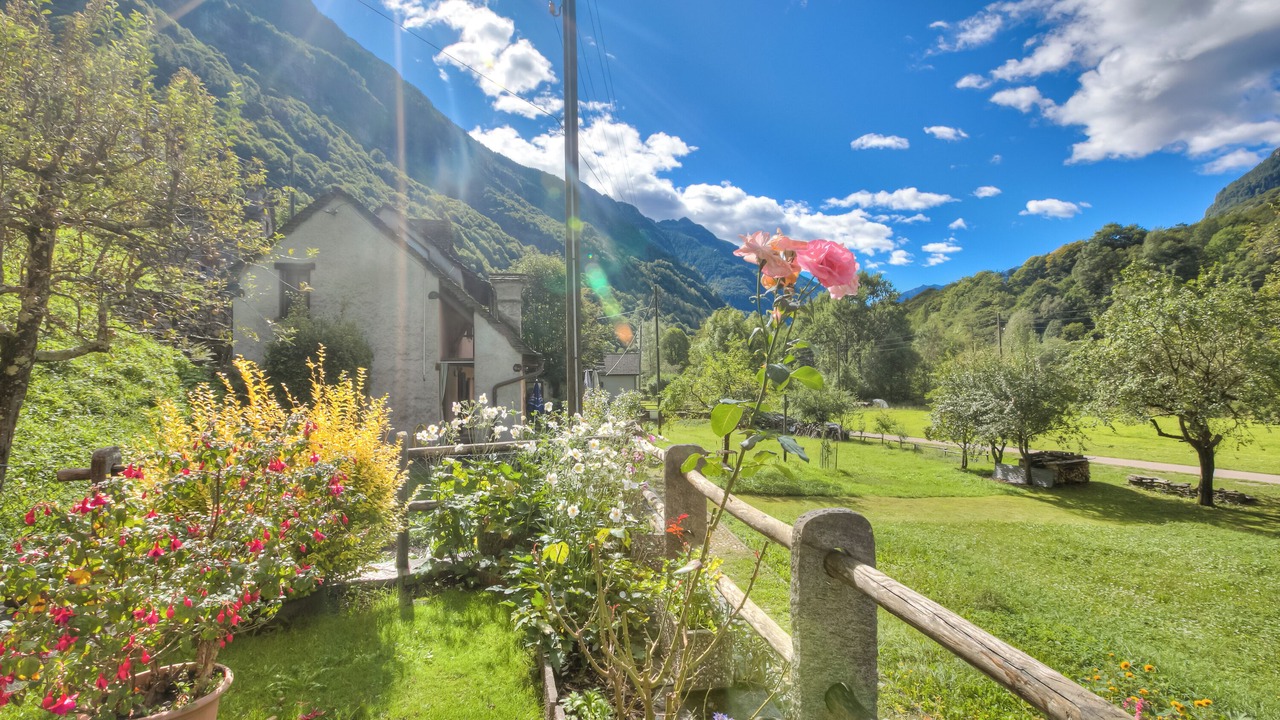 Photo of Outdoor in Frasco