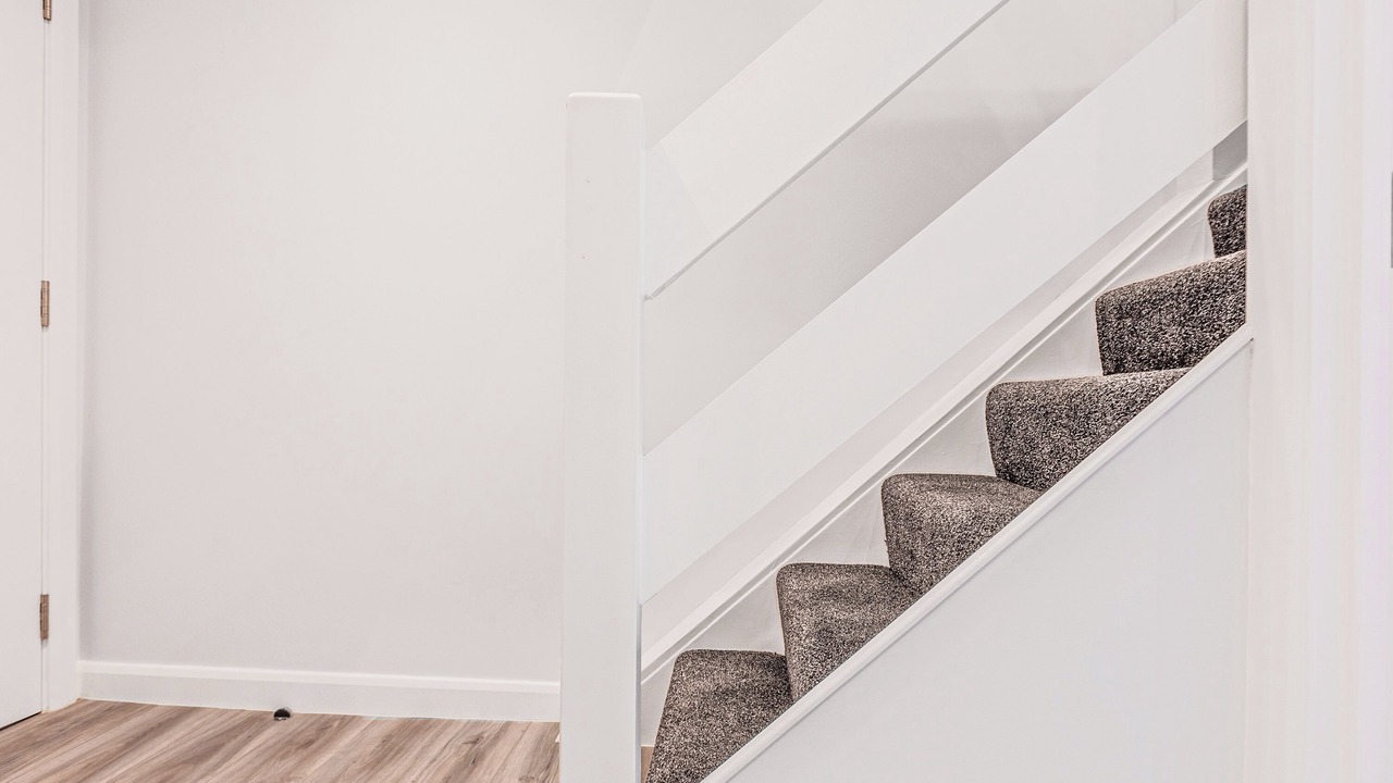 Photo of Others in Shaftesbury