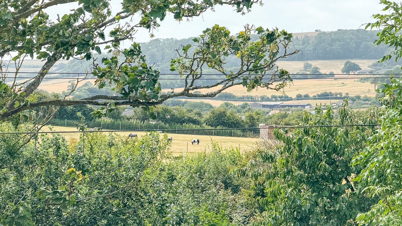 Photo of Others in Ventnor