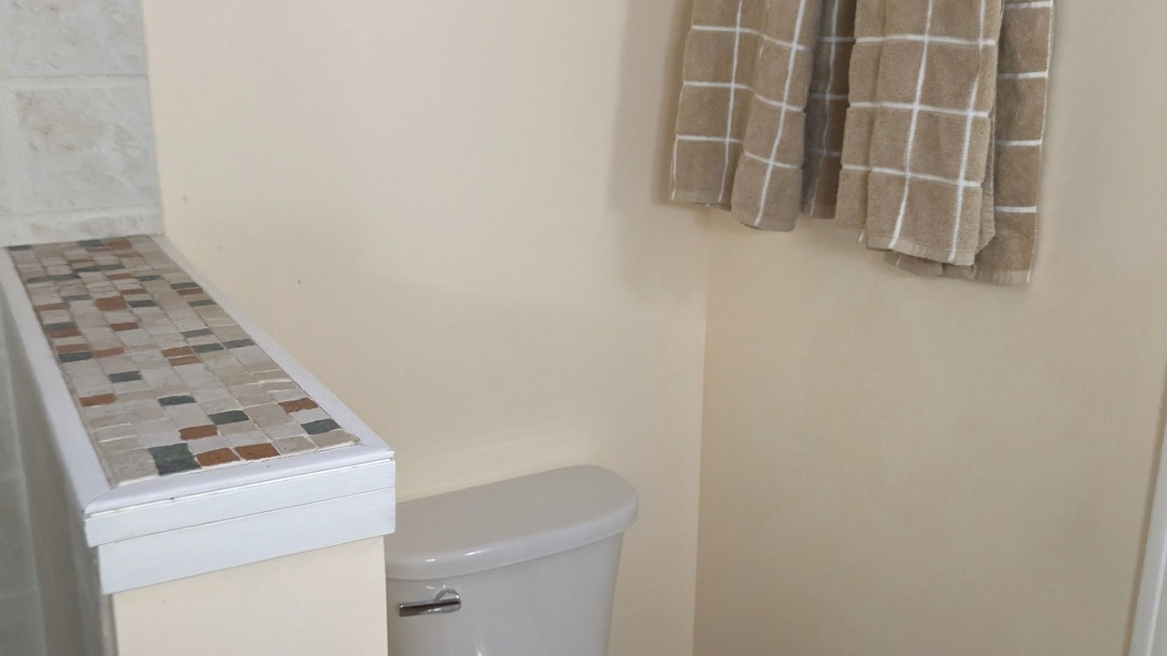 Photo of Bathroom in Tower Grove East
