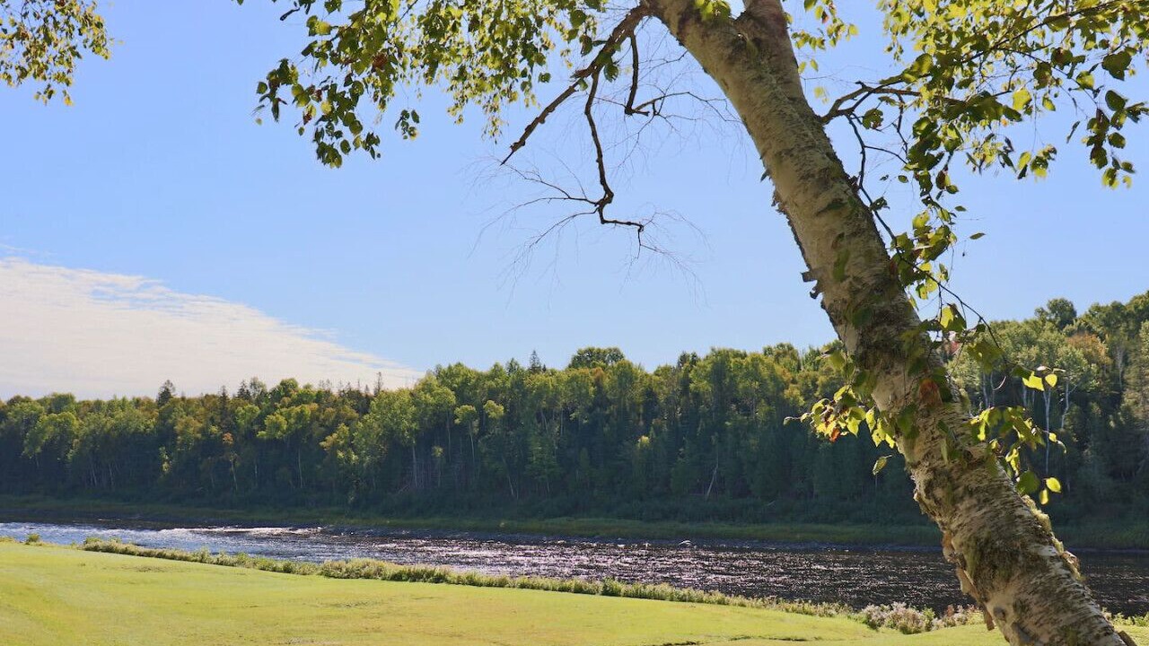 Photo of Others in Blackville